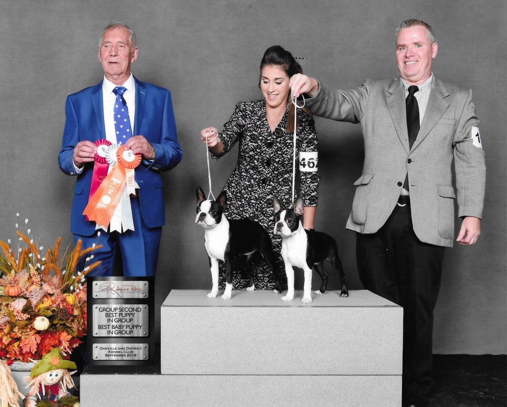 Best Puppy in Group - Drogo at Dalhousie Kennels